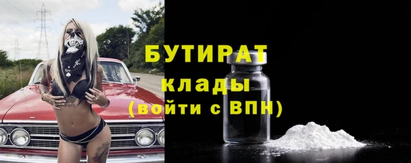 индика Гусев