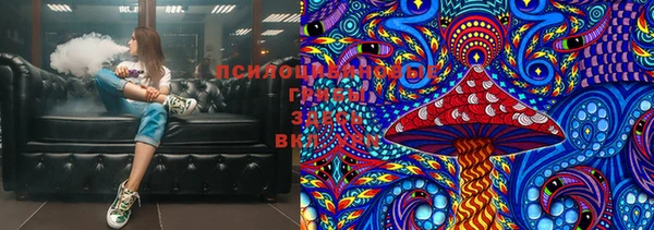 гашик Нязепетровск