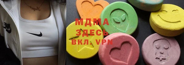 индика Гусев