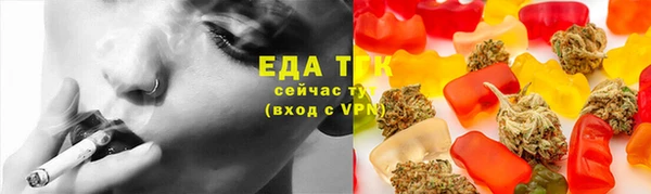 индика Гусев