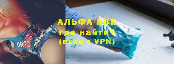 индика Гусев