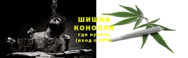 стафф Гусь-Хрустальный