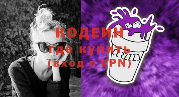 индика Гусев