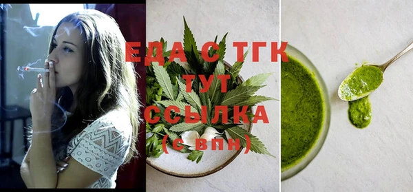 индика Гусев