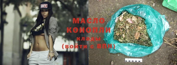 индика Гусев