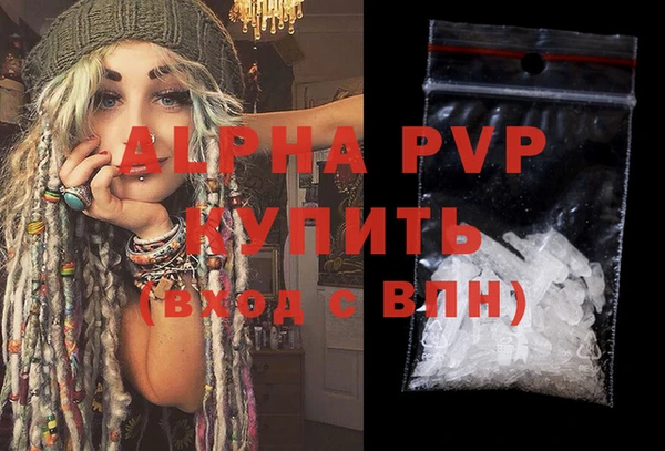 индика Гусев