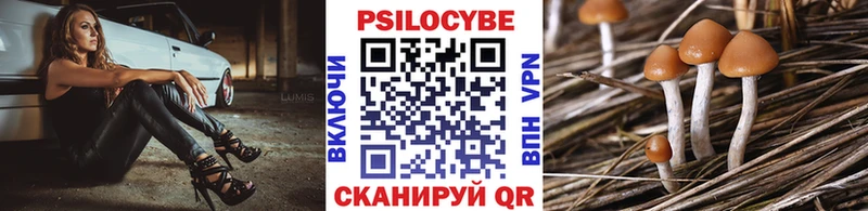 ОМГ ОМГ ссылка  Сретенск  Псилоцибиновые грибы прущие грибы 